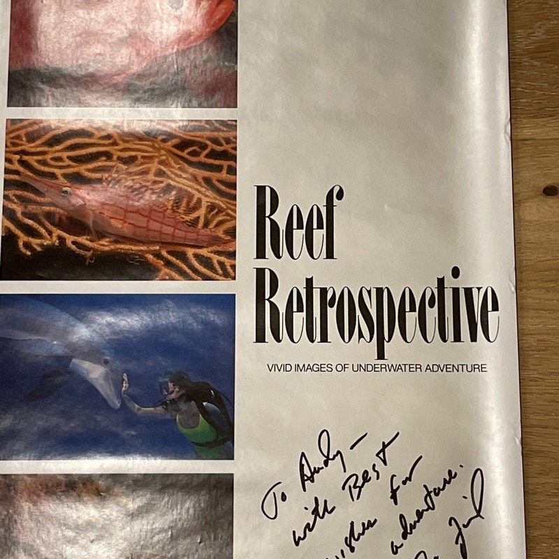 Signed Stephen Frink Underwater Nikon Photography Poster 1990 Vintage 36" x 24" gallery