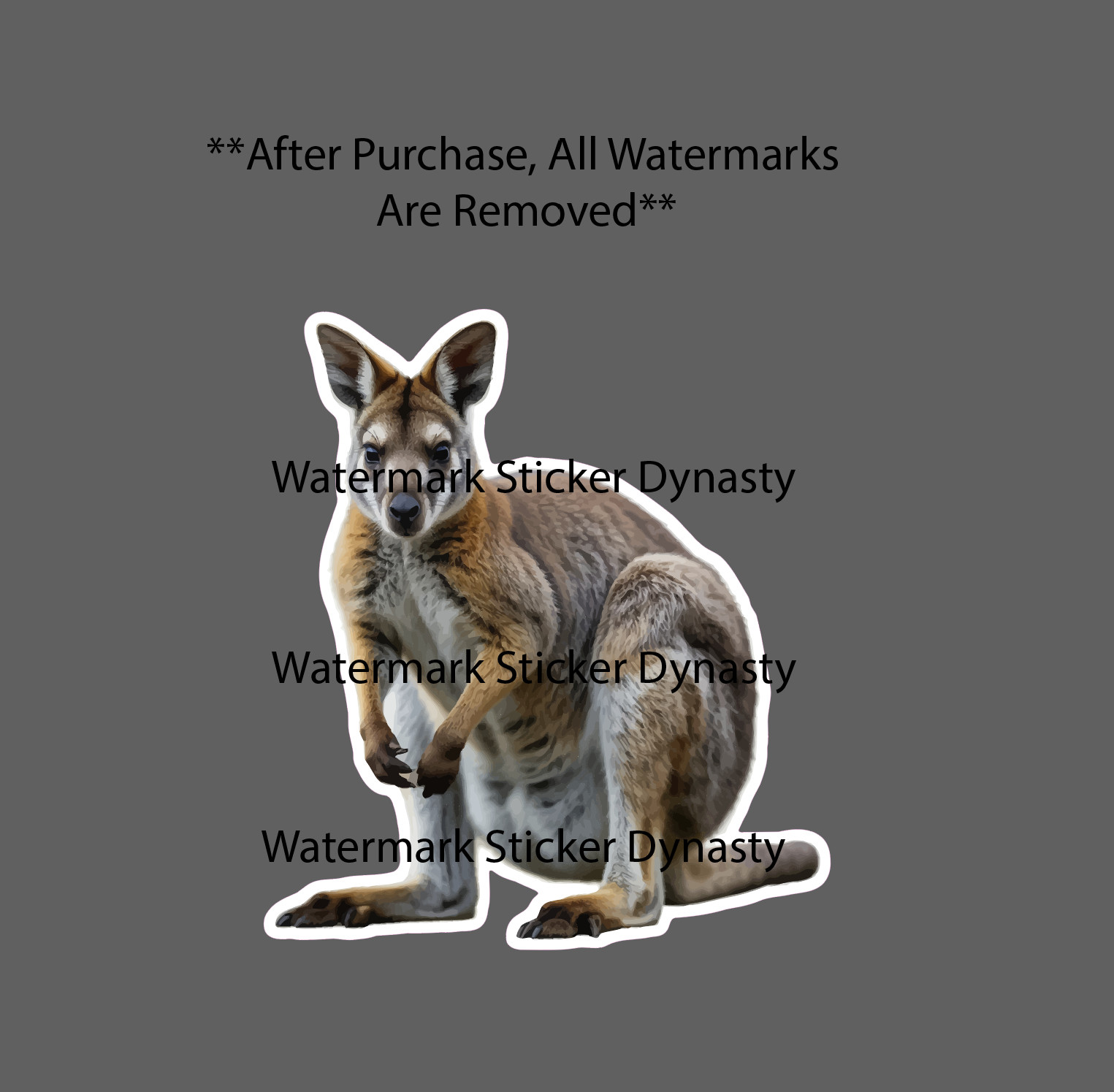 Wallaby Sticker Waterproof Decal Animal Outback Australia Gift NEW gallery