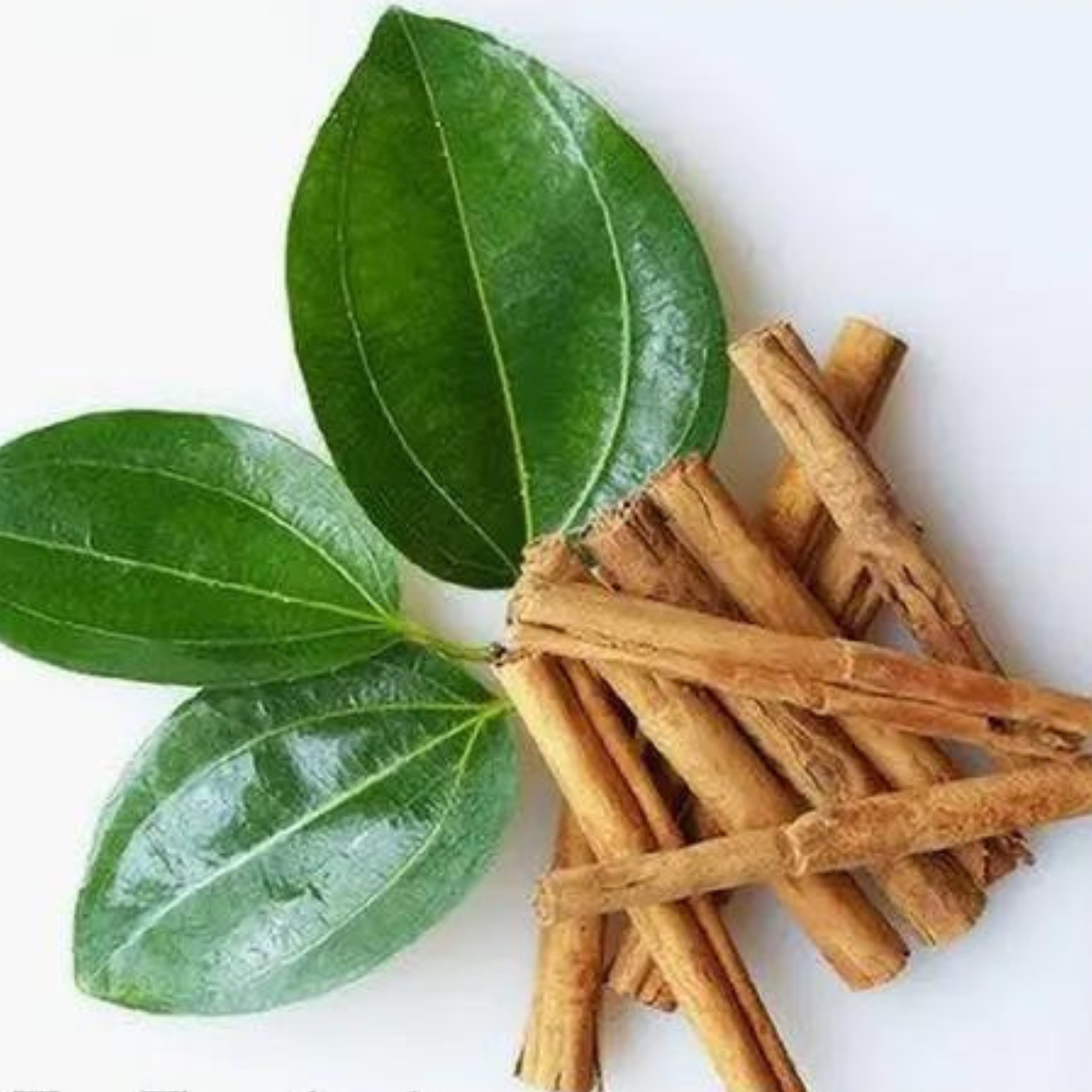 High Quality Pure True Ceylon Cinnamon (Alba) Sticks Natural Sri Lanka. gallery