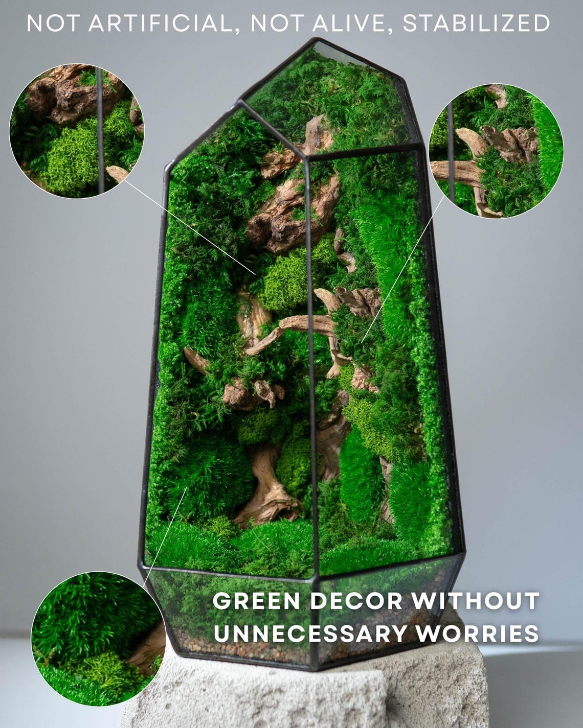Moss Terrarium, Preserved moss art, Geometric terrarium decor gallery