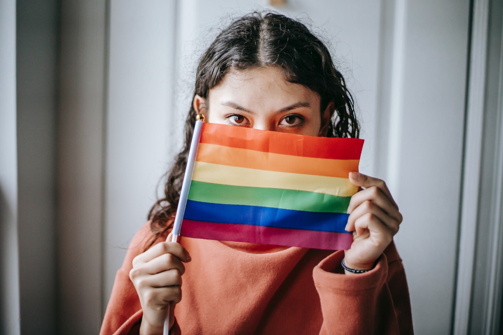 Rainbow Pride Flag 4x6 Inch 4" x 6" Hand Flag On Stick LGBTQ LGBTQIA+ gallery