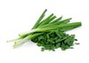 150 GARLIC CHIVE / CHIVES HERB SEEDS ~ 2026 ~ heirloomseedguy ~ USA gallery