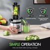 Cold Press Masticating Juicer Machine 350W Whole Fruit Slow Juicer Extractor gallery
