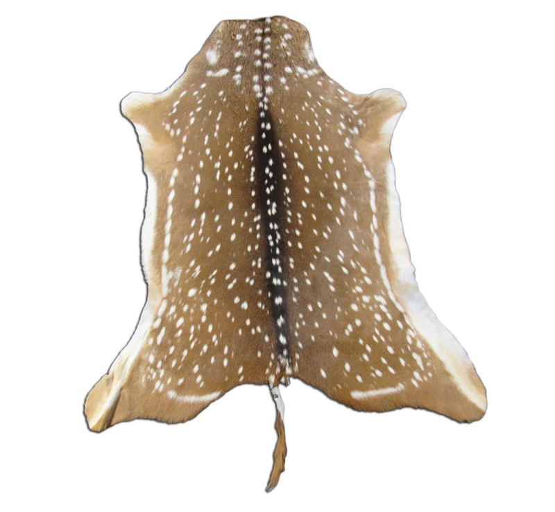 Axis Deer Skin Hide Average Size: 37" X 30" Top Grade Axis Deer Hide Top Grade gallery
