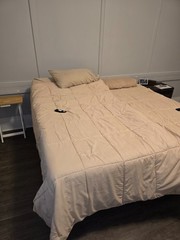 bed in a box twin x2