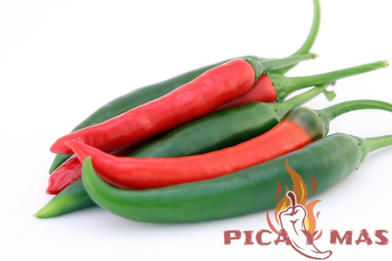 SERRANO ROJO 30 SEEDS 100% GUARANTEED SPICY CHILLI CHILLI PEPPER gallery