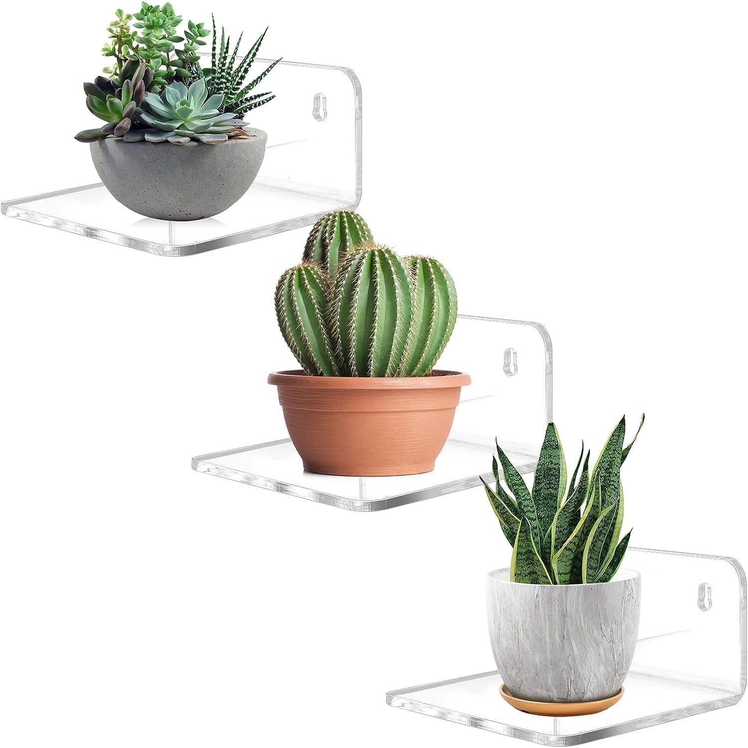 Acrylic Small Shelf,Mini Floating Wall Shelf,Wall Mounted Storage S... gallery