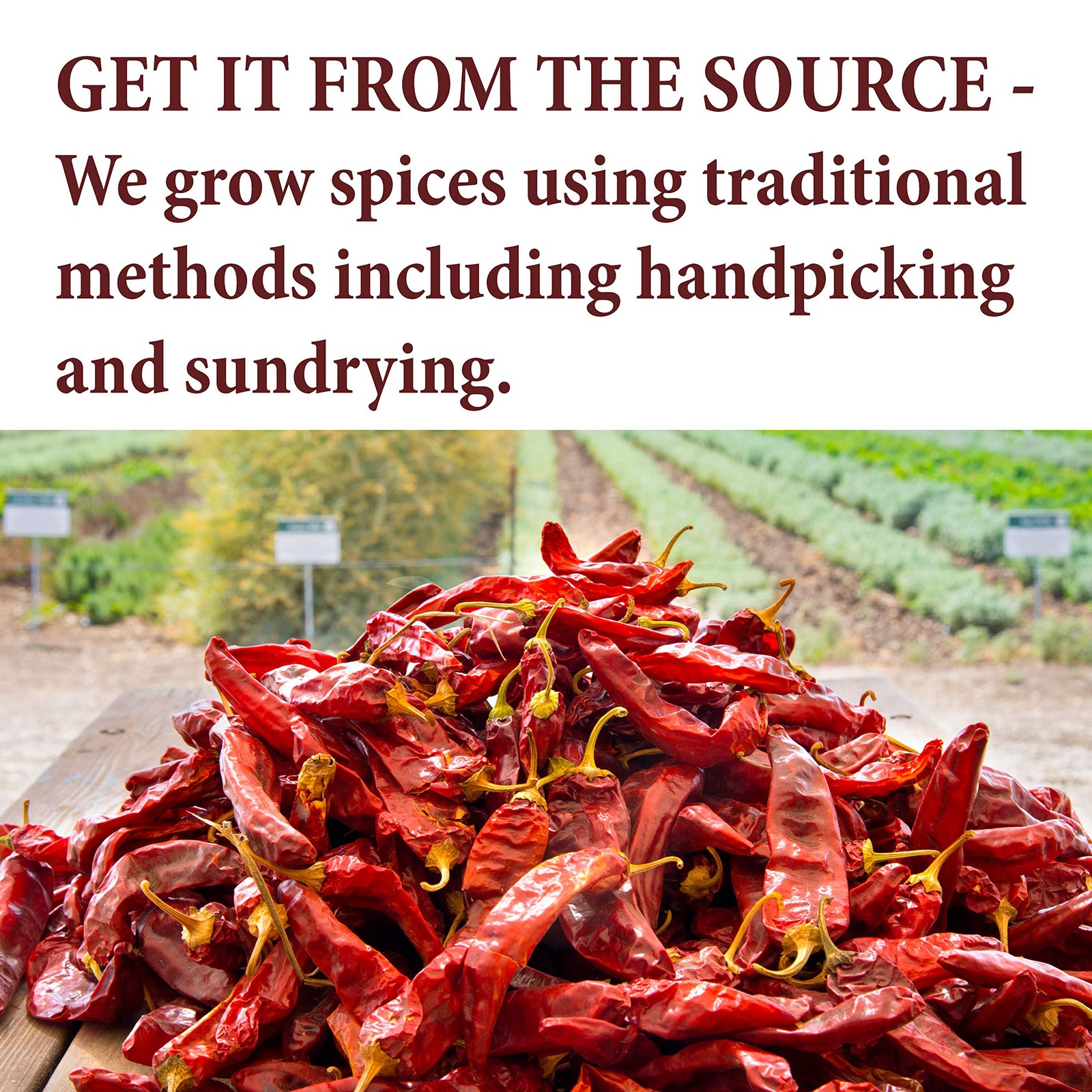 The Spice Way - Pure 100% Ground Sumac Spice, No Salt, no GMO, no Irradiation, gallery
