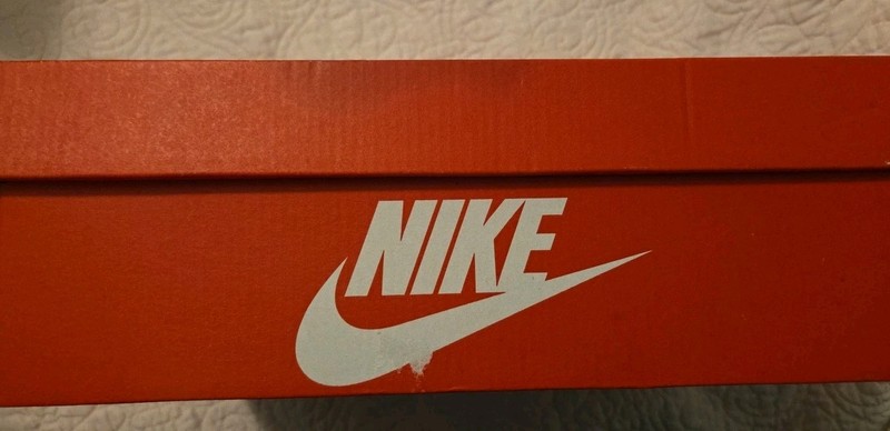 Nike Dunk LowRetro Empty Shoe Box. (T) Size 12 gallery