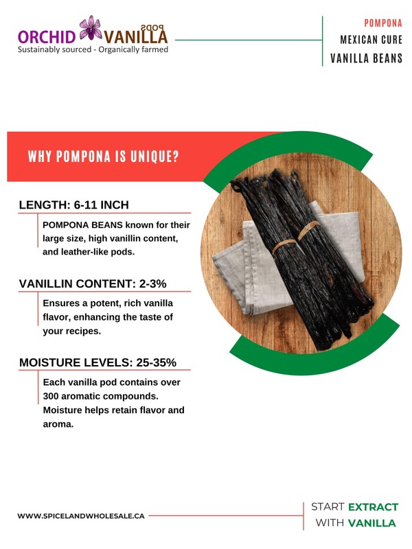 Pompona Vanilla Beans Madagascar 16–28cm Rare Gourmet Mexican-Style Cure gallery
