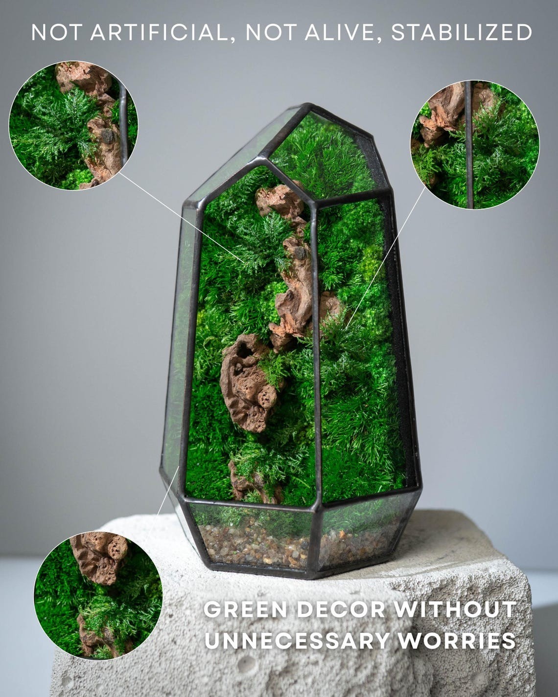 Moss Terrarium, Preserved moss art, Geometric terrarium decor gallery