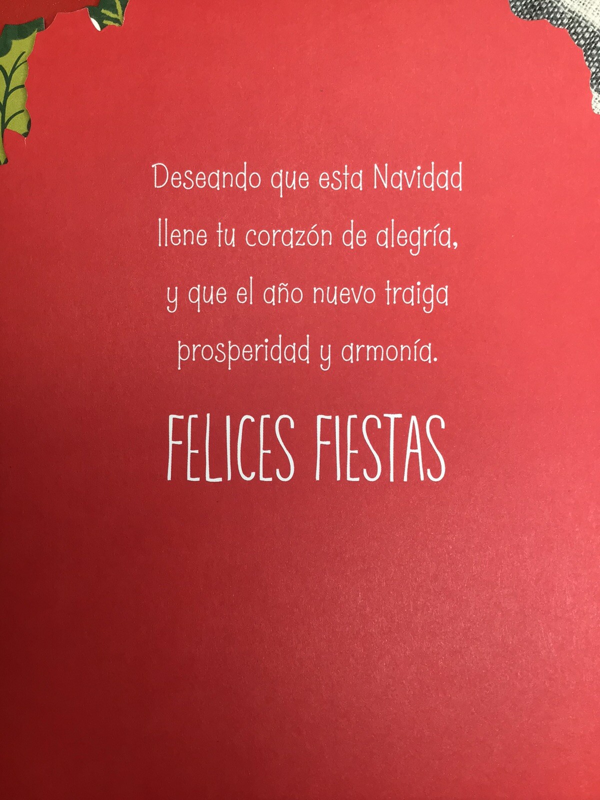 3 Hallmark Merry Christmas Card Someone Special Spanish VIDA 8x5.25 Navidad gallery