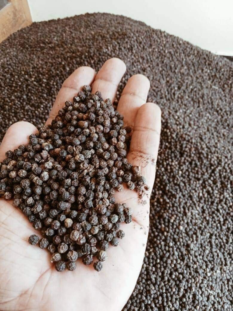 CEYLON BLACK PEPPER POWDER Premium FREE SHIPPING NATURAL PURE BLACK NEW gallery