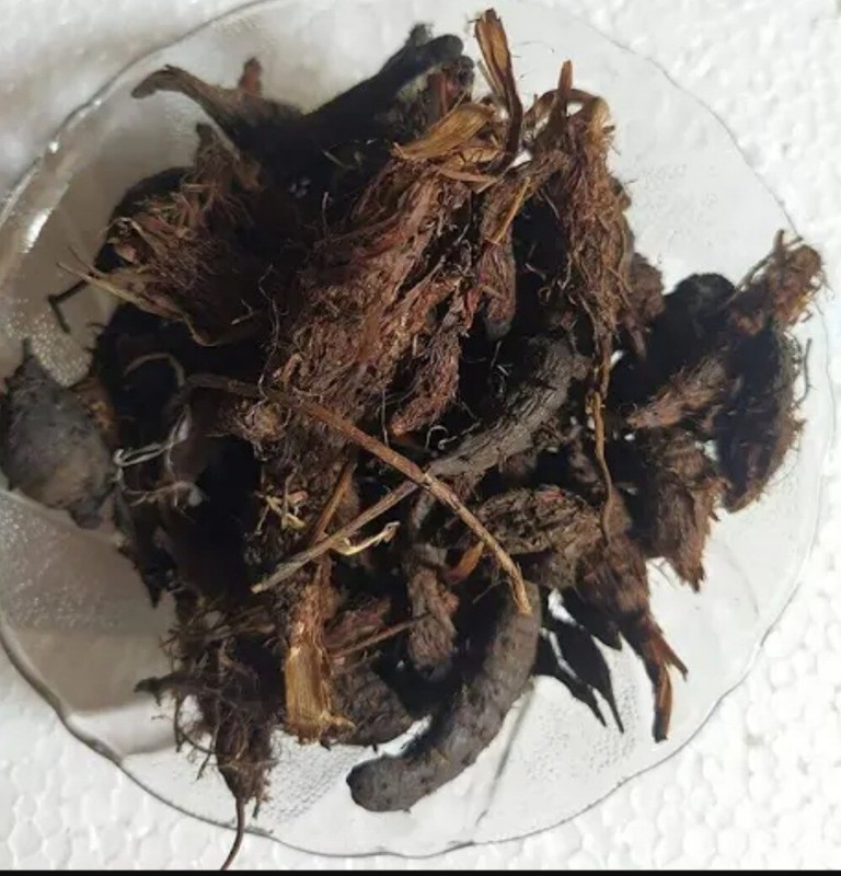 Pure Nagarmotha Roots, Nutsedge Grass, Nagarmotha Jadd Herbs jadi buti gallery