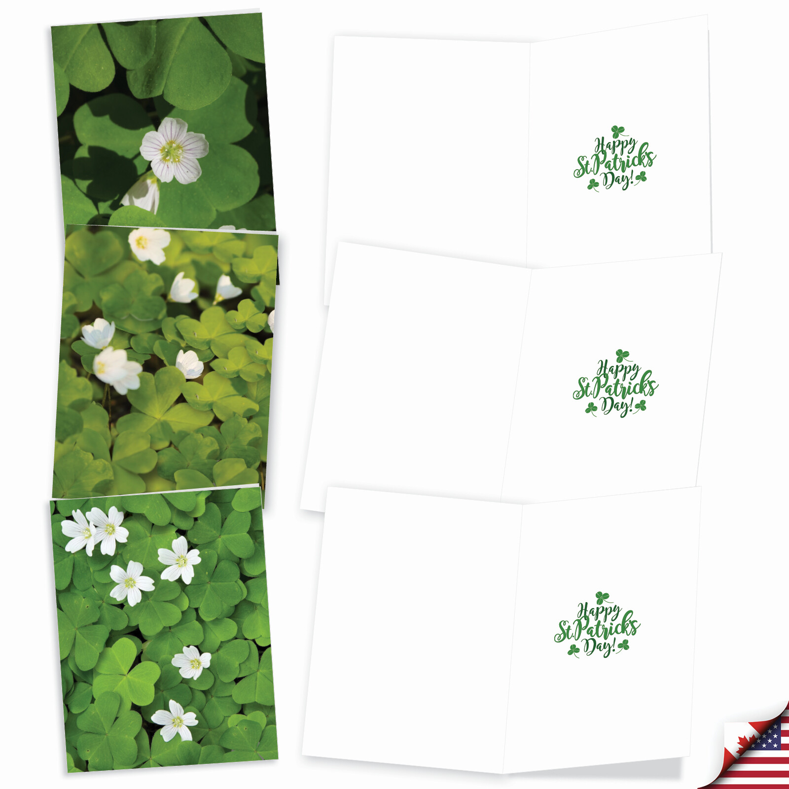 20 Asst'd St. Patrick's Day Notecards w/ Envelopes(2 of Each) Blooming Clovers gallery