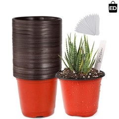 4″ Plastic Planter Pots – 50 Count with 50 Labels for Indoor/Outdoor Use