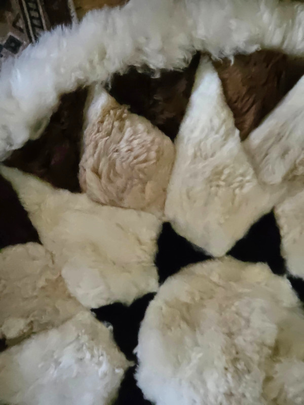 Alpaca Pillow Case – 30" Diameter gallery