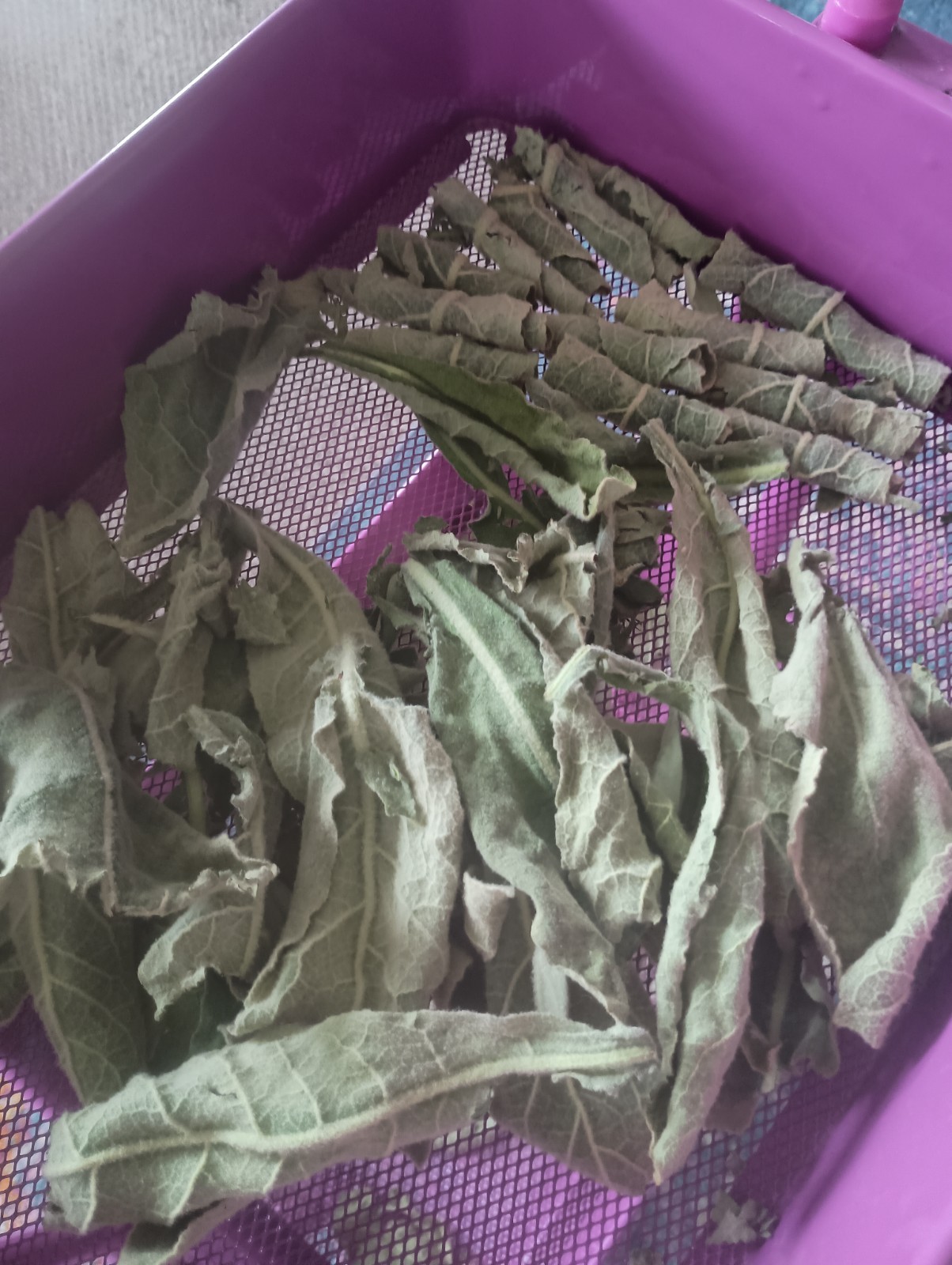DRIED MULLEIN LEAF, loose Single Herb, MEDICAL HERB gallery
