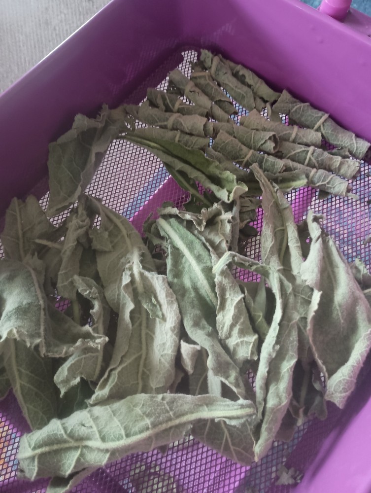 DRIED MULLEIN LEAF, loose Single Herb, MEDICAL HERB