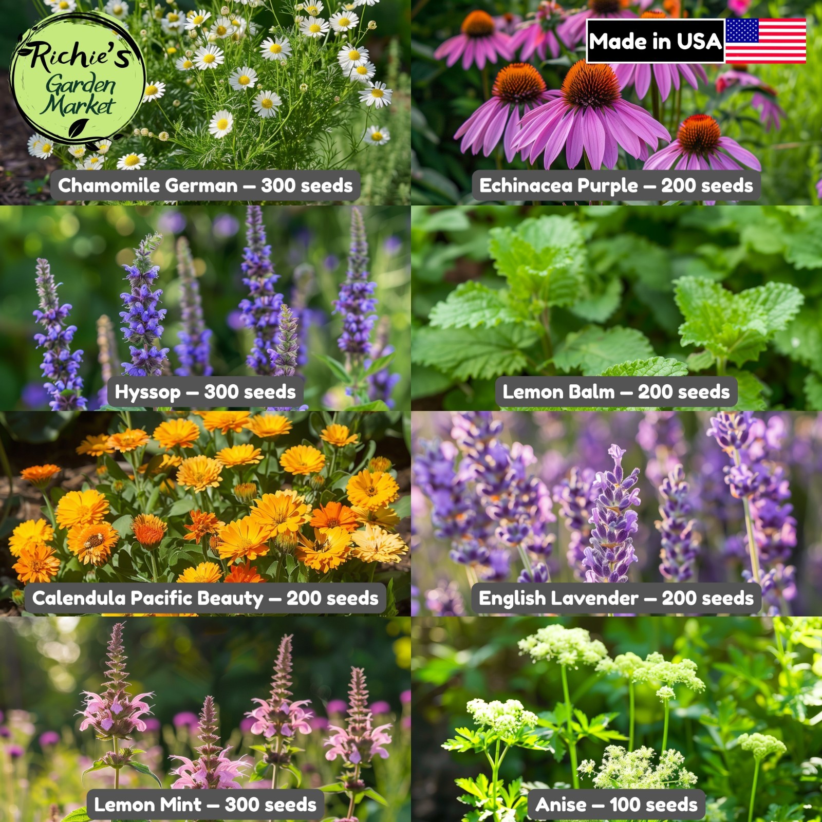 8 Medicinal Herb Seed Collection, Non-GMO, Fast Growing, Easy to Grow gallery