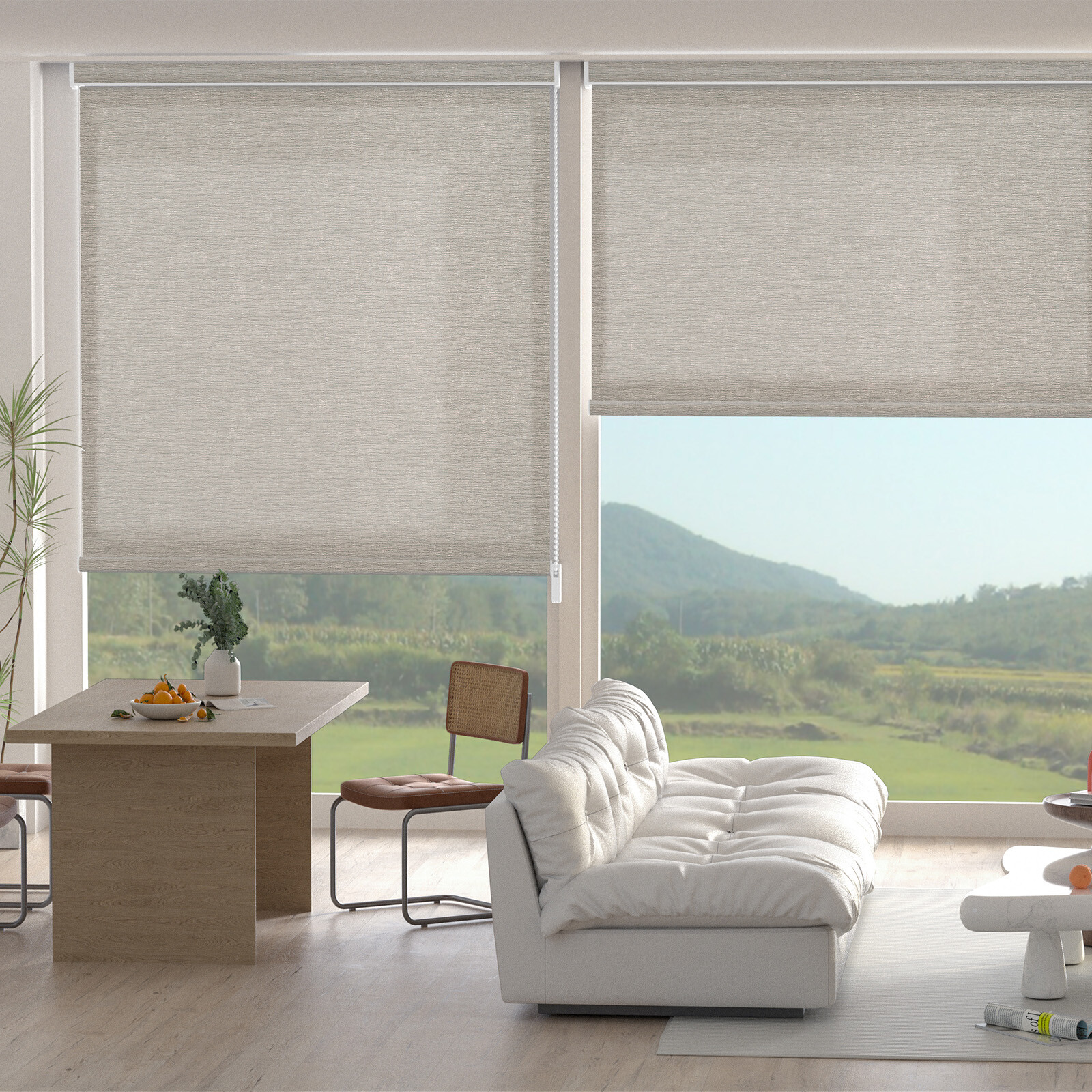 Changshade CUSTOM Light Filtering Corded Window Blind Roller Shade-Free Shipping gallery