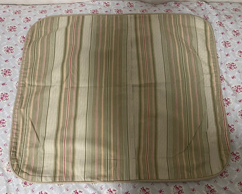 WAVERLY GARDEN ROOM TWO STANDARD SQUARE SHAMS CORDED GREEN STRIPES 20x26 PAIR gallery
