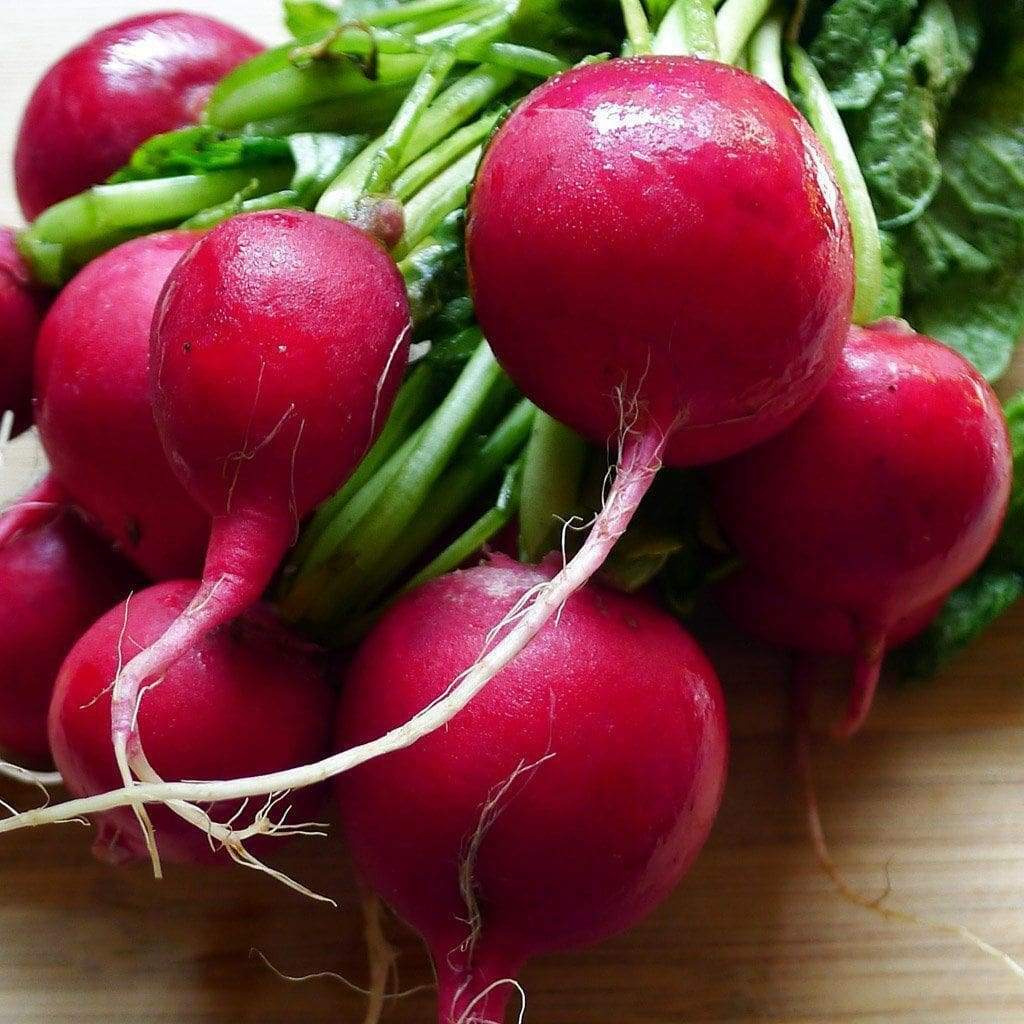 Cherry Belle Radish Seeds, NON-GMO, Fast Harvest, Variety Sizes, FREE SHIPPING gallery
