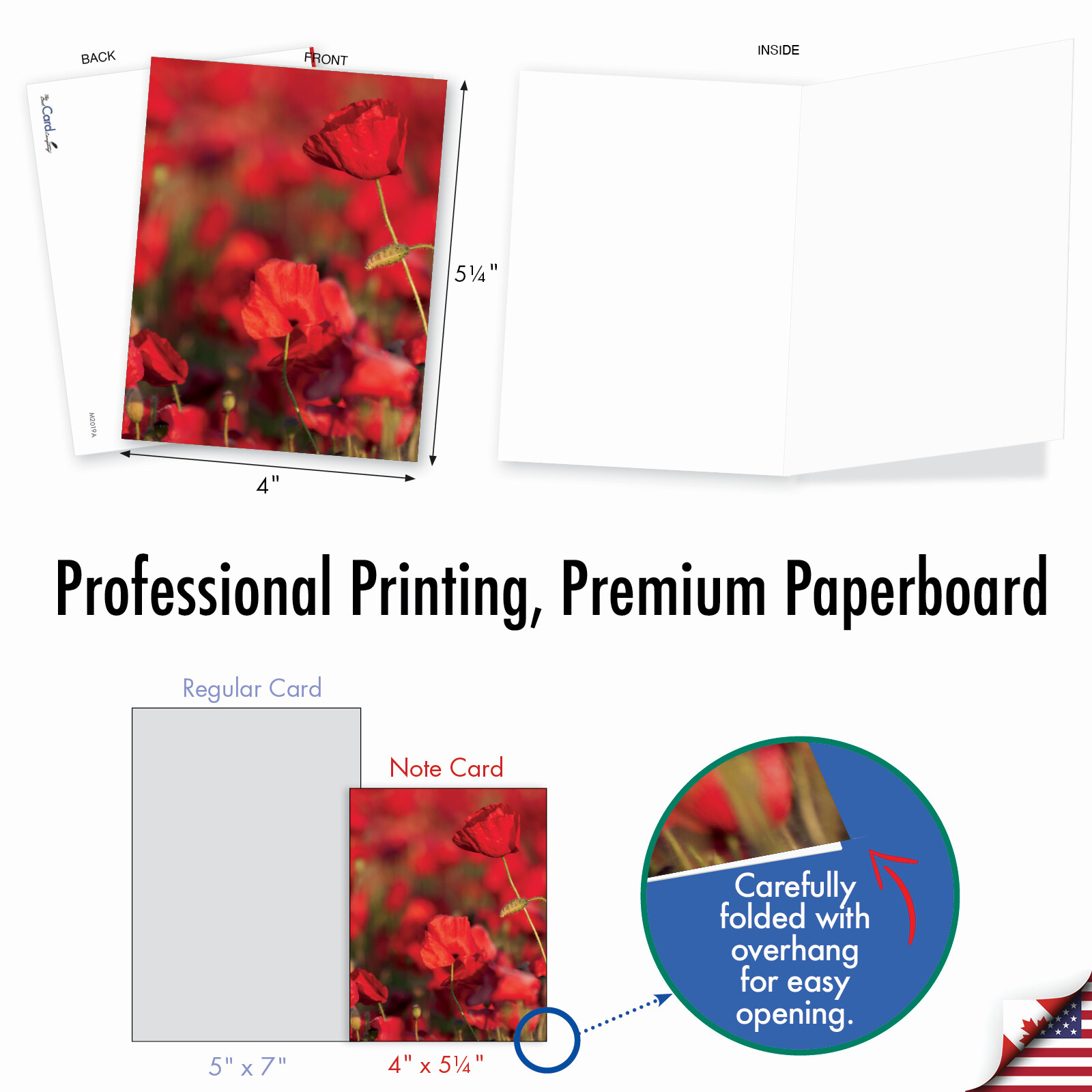 10 Assorted All Occasion Blank Note Cards with Envelopes - POPPY LOVE M2019 gallery