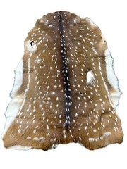 Axis Deer Skin Second Grade Axis Deer Hide Size: 38″X30″ Chital deer hide