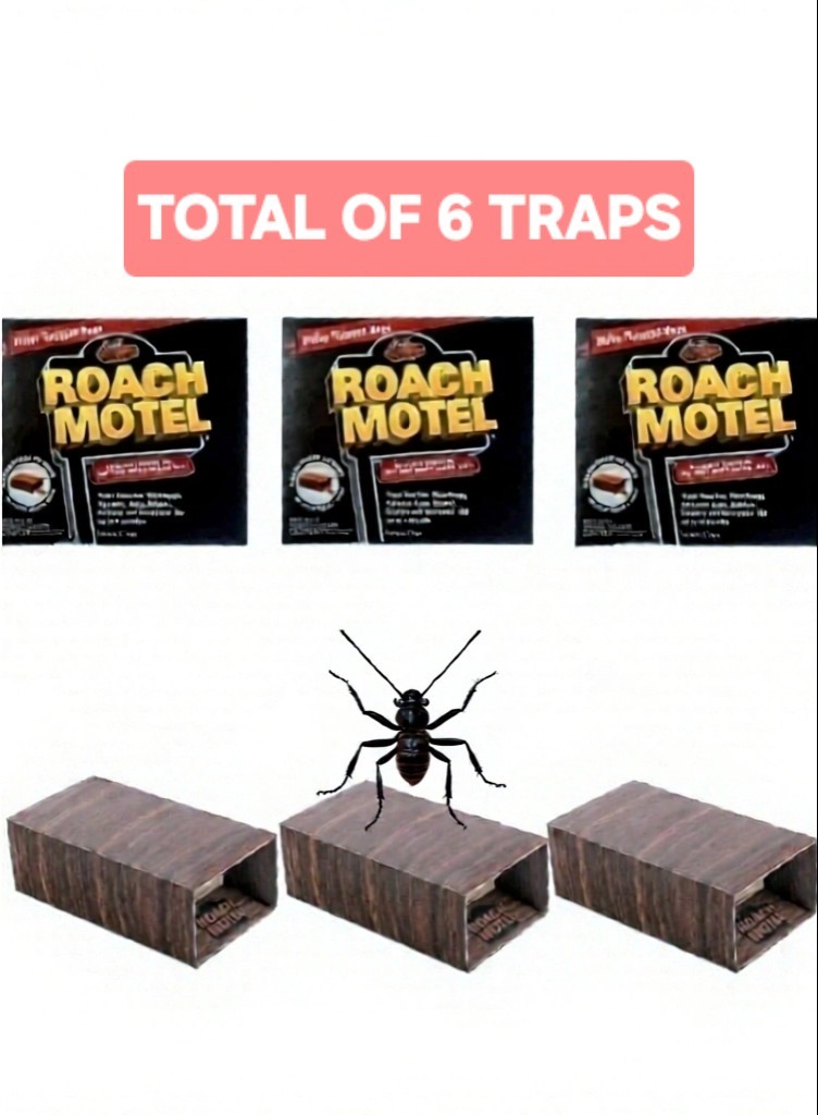 Black Flag Roach Motels Cockroach Bug Killer bait Glue Trap Spider Motel gallery