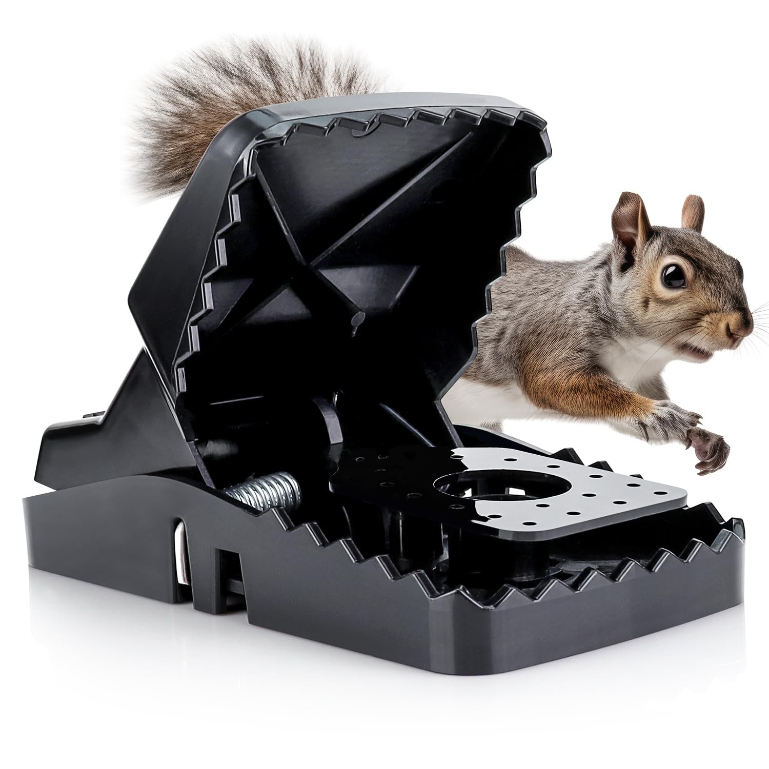 Squirrel Trap (2 Pack) - Consistent & Humane Traps Every Time with no Failure... gallery