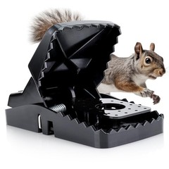 Squirrel Trap (2 Pack) – Consistent & Humane Traps Every Time with no Failure…