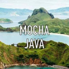 Mocha Java Coffee Beans Roasted Medium & Dark Mixed 2 Bags 1 Pound Each.