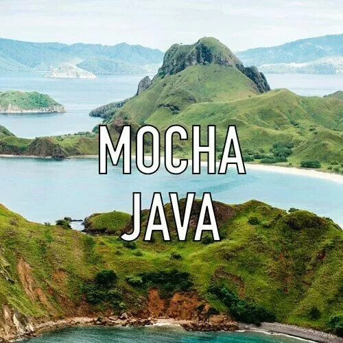 Mocha Java Coffee Beans Roasted Medium & Dark Mixed 2 Bags 1 Pound Each. gallery