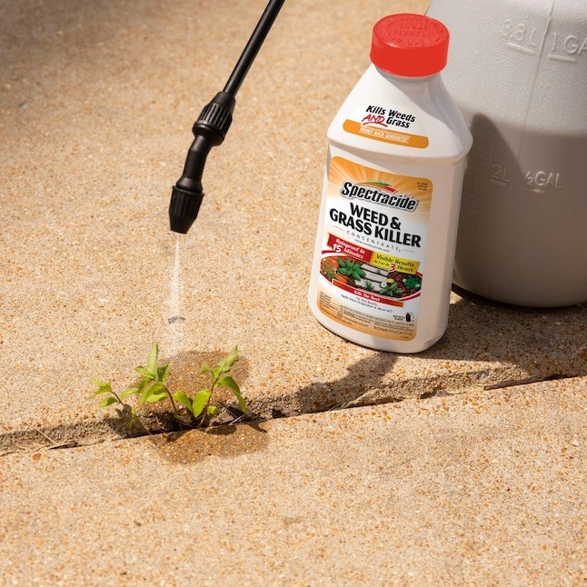 Spectracide Concentrate 16.0 -oz Concentrate Weed and Grass Killer gallery