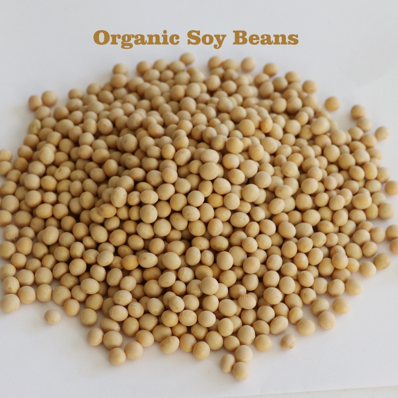 Organic Soy beans, bulk soya soybeans Non-gmo gallery