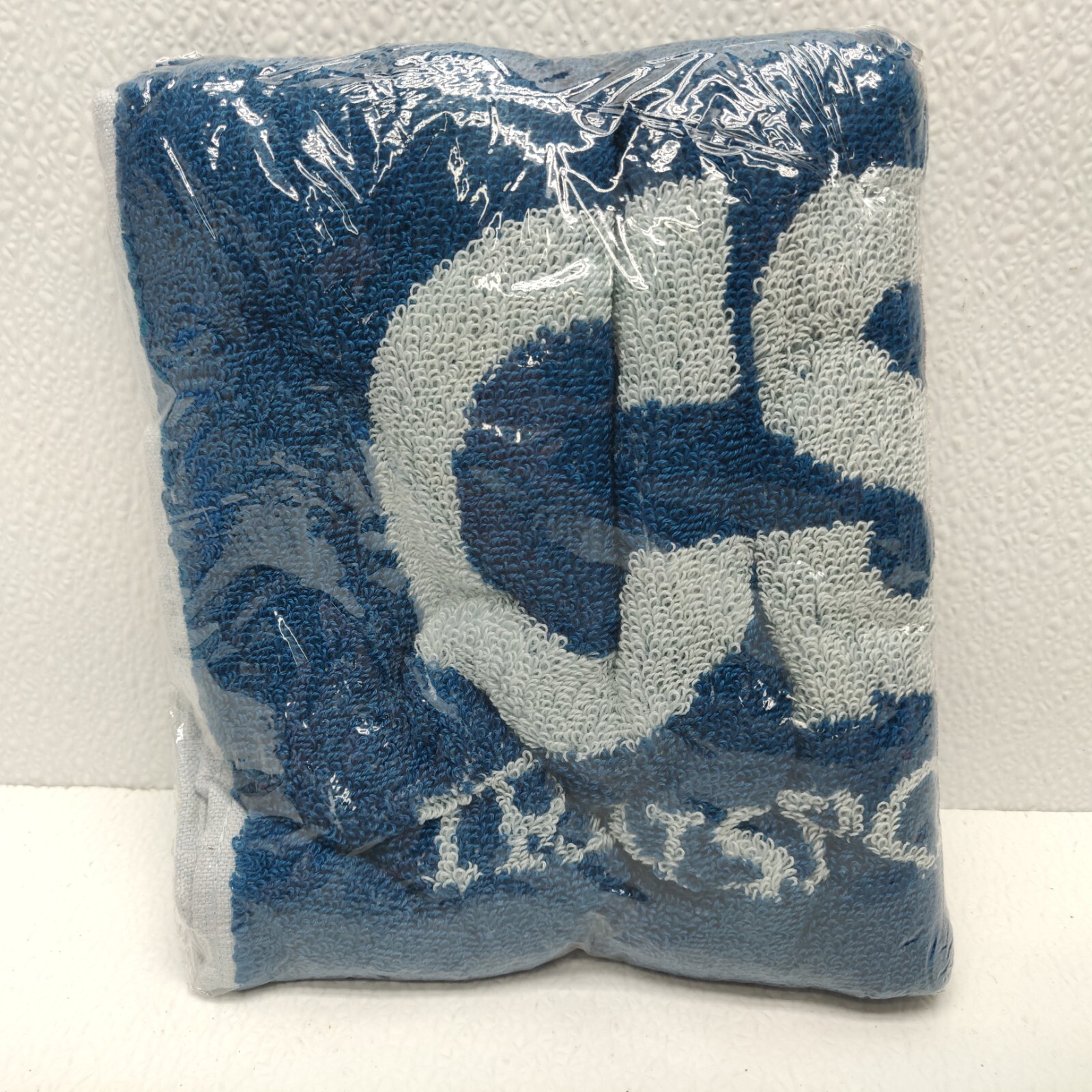 RARE CSX RAILROAD TRAIN Transportation Logo Hand Towel Terry gallery