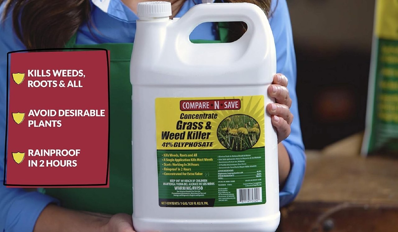 Concentrate Glyphosate Concentrate Grass & Weed Killer Herbicide, 32-Ounce gallery