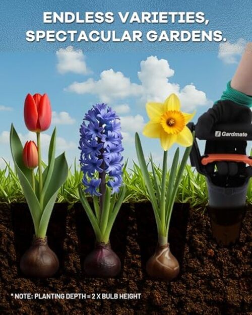 Bulb Planter Tool - One-Touch Automatic Bulb Planter for Bulbs, Seeds & gallery