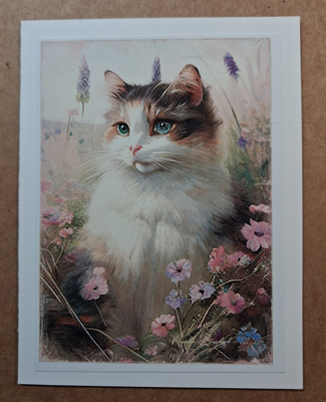 a funny cat card - any occasion ED#826 gallery