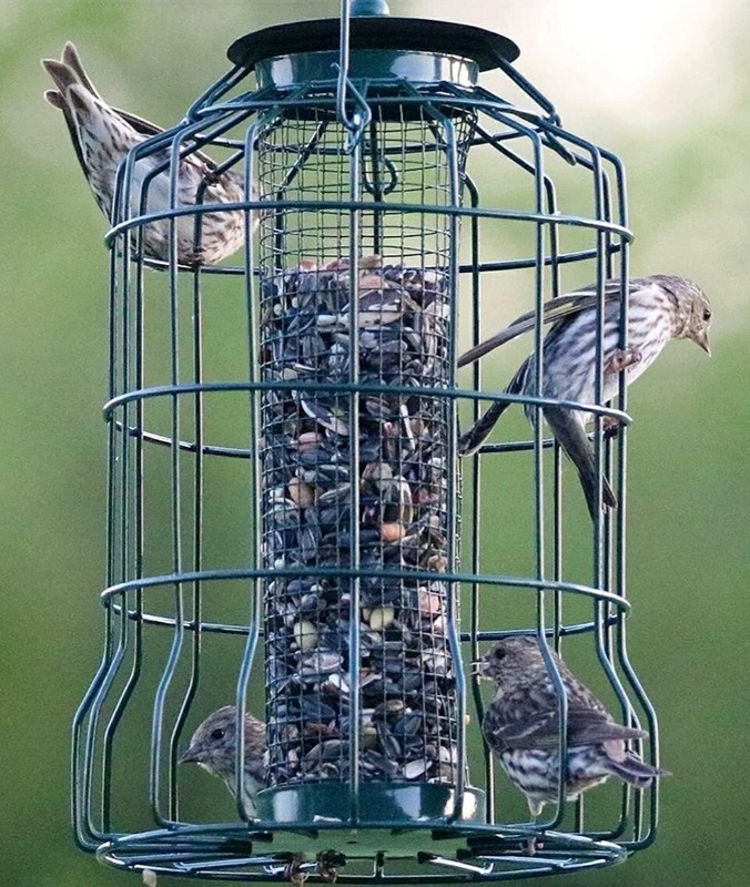 PETITE SQUIRREL RESISTANT CAGED BIRD SEED FEEDER BE161 BACKYARD ESSENTIALS gallery
