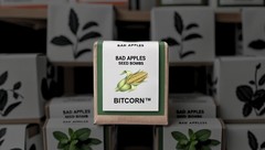 Bad Apples BITCORN™ Seed Bombs – Crypto Corn Scheme – Guerrila Garden – 1 Acre