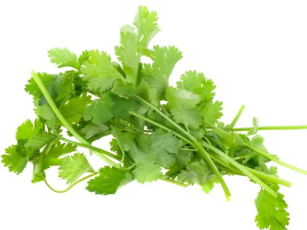 Cilantro Leaf - Dried Coriandrum sativum Leaf C/S 100% from Nature, Wild Crafted gallery