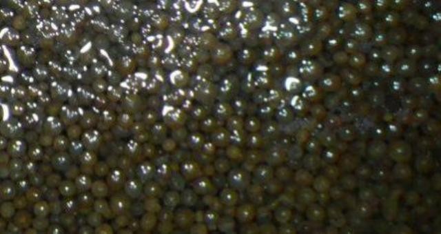 Don't Replace Your Water Softener- Clean it's Resin! It'll Work New Again. gallery