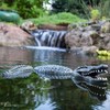 Aquascape Floating Alligator Decoy 34" 93000 gallery