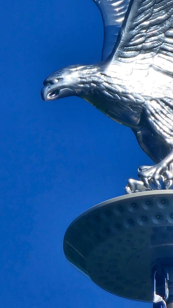 Flagpole Eagle Topper Decorative SILVER Finial Globe Outdoor XX-Large 32 inch gallery