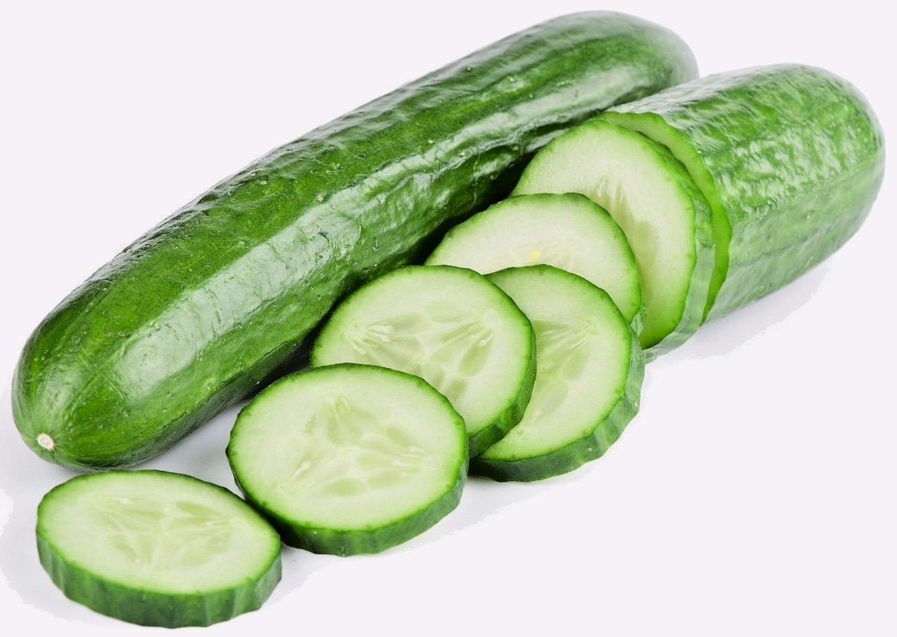 Garden Sweet Cucumber Seeds, BURPLESS, Organic, NON-GMO, FREE SHIPPING gallery