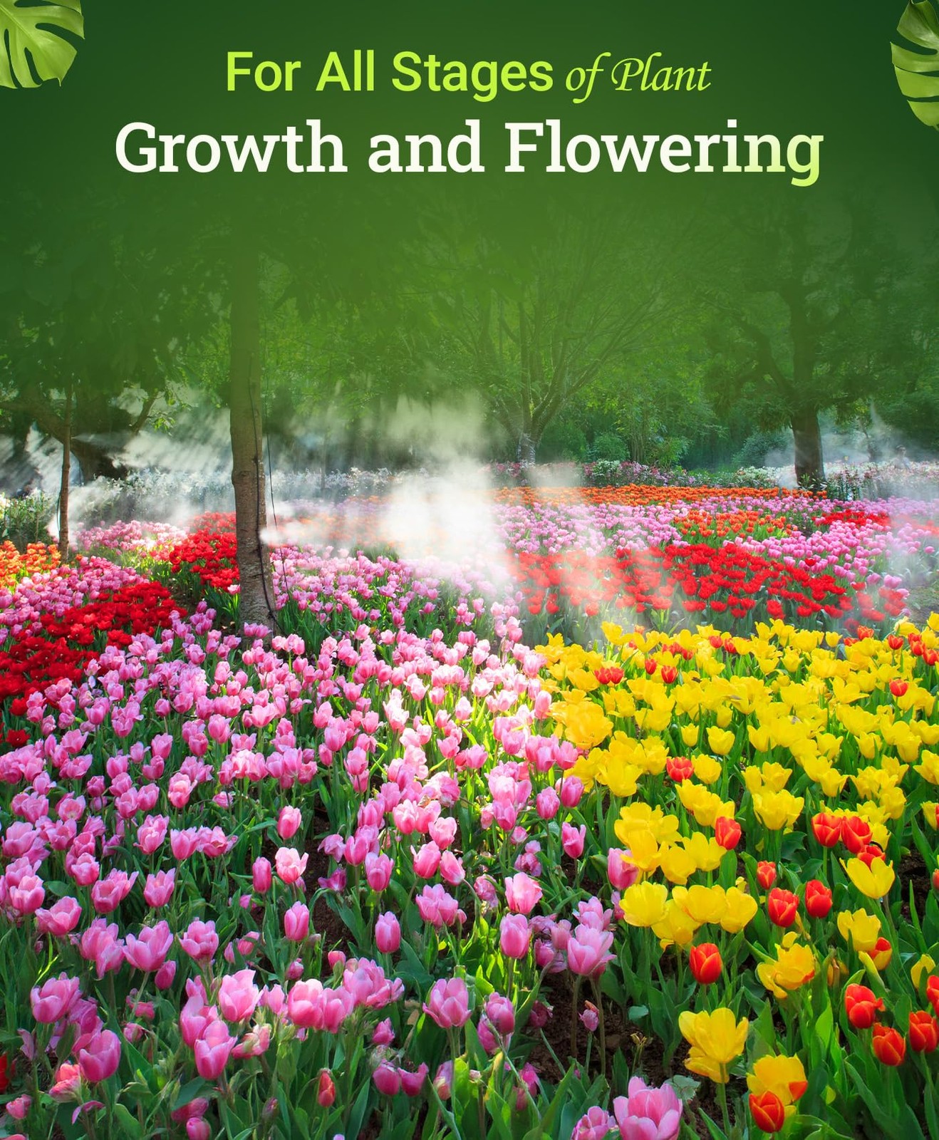 Bone Meal Fertilizer with Calcium & Mycorrhizal Fungi for Strong Growth 4 lb gallery