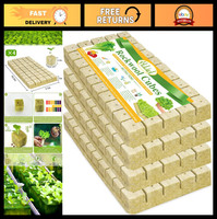 1" Rockwool Cubes for Hydroponics - 200 Starter Plugs for Soilless Cultivation gallery