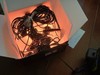 Govee S14 Bulb Outdoor String Lights, 48ft Smart RGBIC gallery
